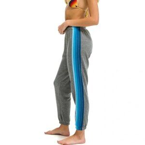 Aviator Nation Gray and Blue Striped Pants